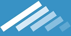The Wise Roofing Company Logo